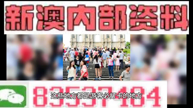 新澳49图库——深入解析与资料探讨（警惕潜在风险）