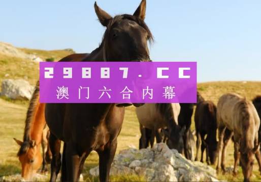 澳门管家婆一肖一码2023年运势分析