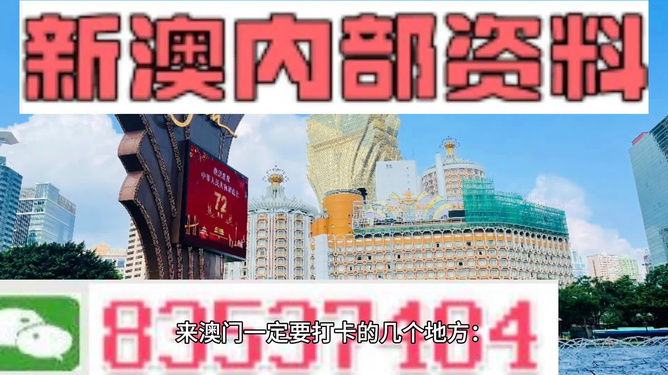 新澳2024正版资料免费公开，探索与启示