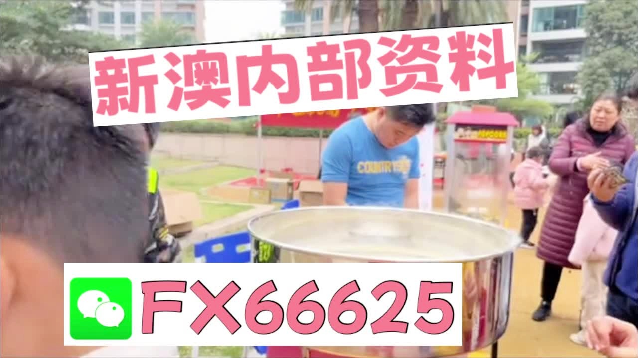 新澳2024最新资料大全概览