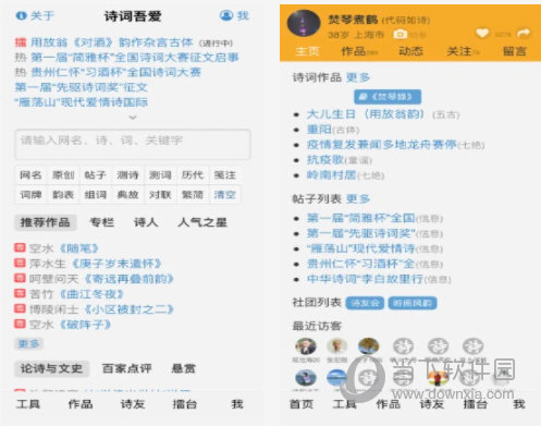 新澳门精准四肖期期中特公开，探索与揭秘