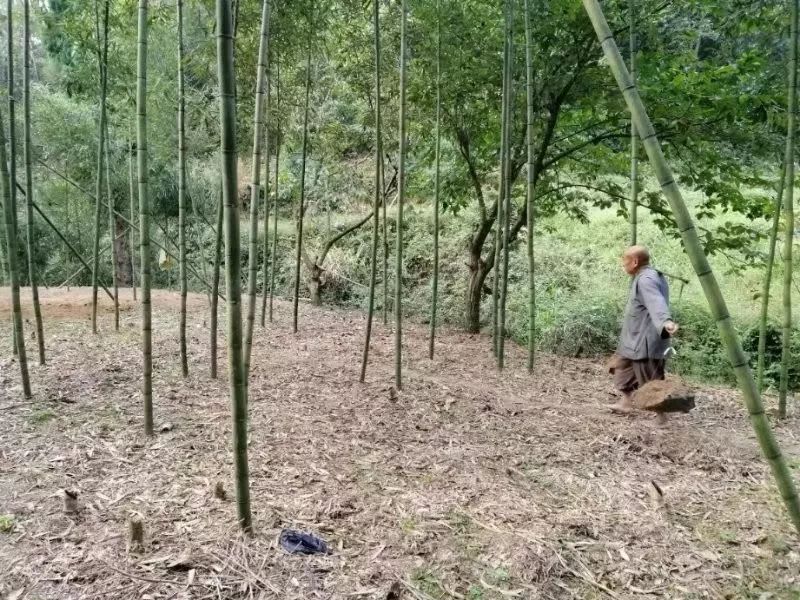 天天干天天日，生活的节奏与日常的努力