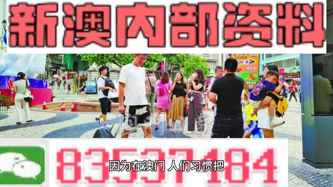 探索新澳门，2024精准免费大全的独特魅力与机遇