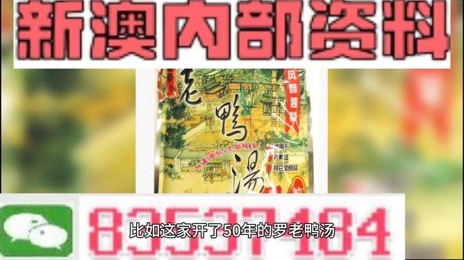 探索新澳正版资料的世界，免费提供的力量