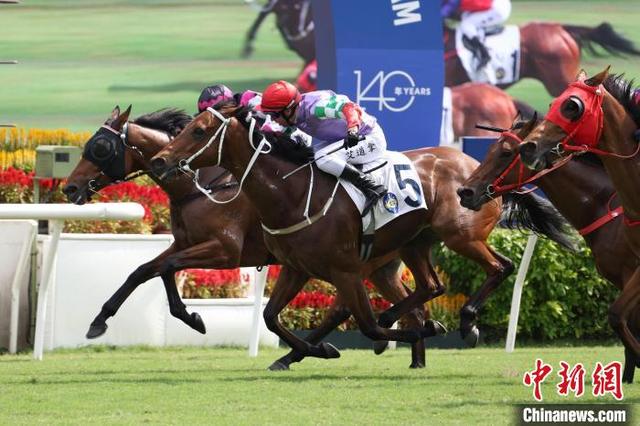 关于预测香港今晚特马开什么的问题——警惕违法犯罪风险